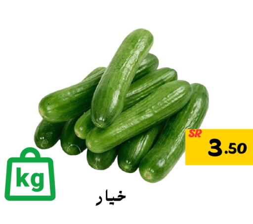  Cucumber  in Mahasen Central Markets in KSA, Saudi Arabia, Saudi - Al Hasa