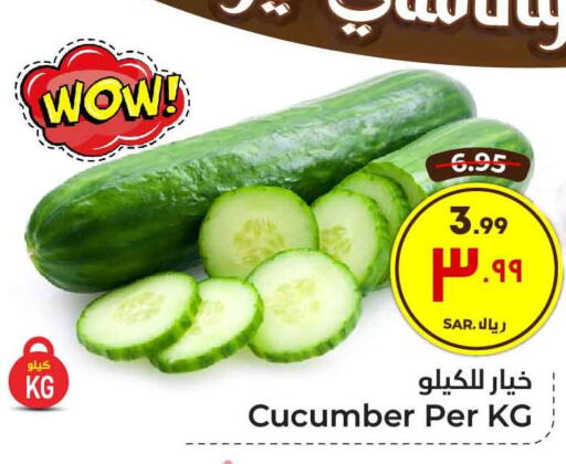  Cucumber  in هايبر الوفاء in مملكة العربية السعودية, السعودية, سعودية - الطائف