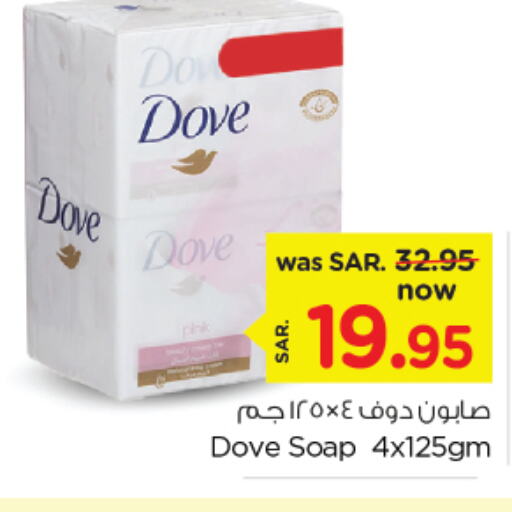 DOVE   in Nesto in KSA, Saudi Arabia, Saudi - Al Hasa