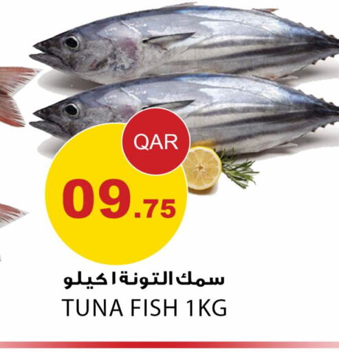  Tuna  in Aspire Markets  in Qatar - Al Wakra