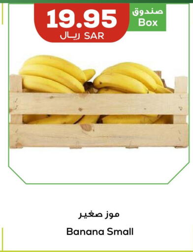  Banana  in أسواق أسترا in مملكة العربية السعودية, السعودية, سعودية - تبوك