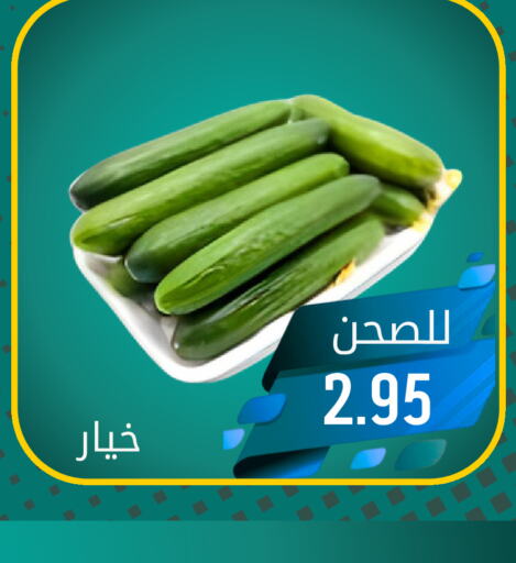  Cucumber  in Joule Market in KSA, Saudi Arabia, Saudi - Dammam