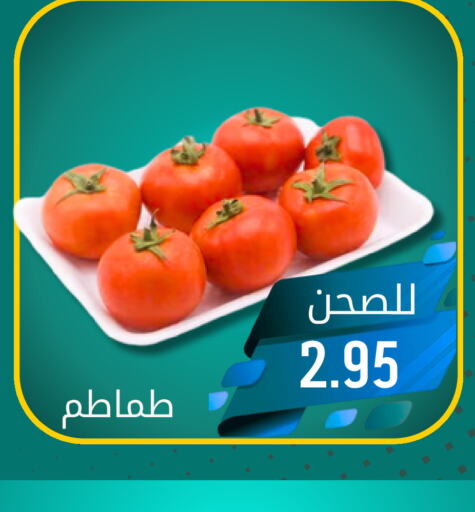  Tomato  in جوول ماركت in مملكة العربية السعودية, السعودية, سعودية - المنطقة الشرقية