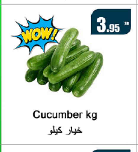  Cucumber  in Al Mukhaizeem Markets in KSA, Saudi Arabia, Saudi - Dammam