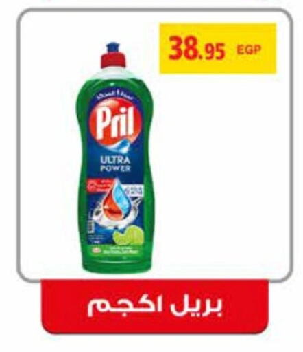 PRIL   in رويال هاوس in Egypt - القاهرة