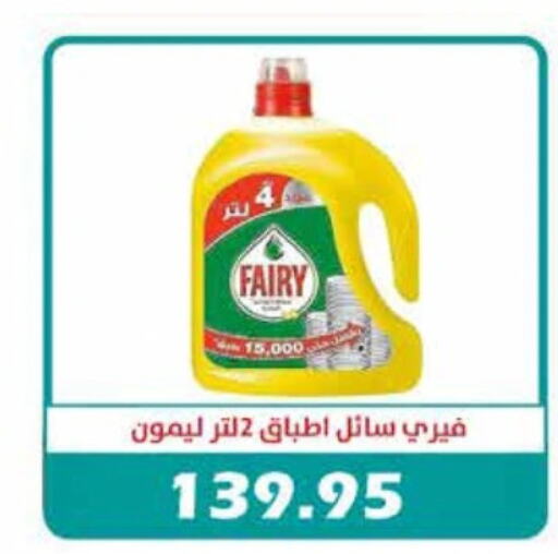 FAIRY   in رويال هاوس in Egypt - القاهرة