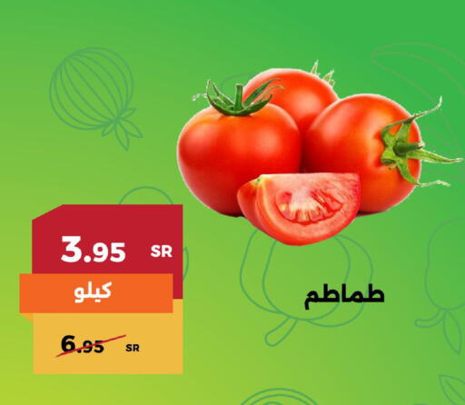  Tomato  in حدائق الفرات in مملكة العربية السعودية, السعودية, سعودية - مكة المكرمة