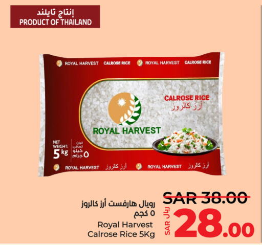  Calrose Rice  in LULU Hypermarket in KSA, Saudi Arabia, Saudi - Al Hasa