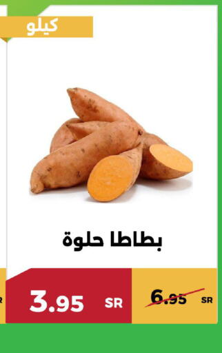  Sweet Potato  in حدائق الفرات in مملكة العربية السعودية, السعودية, سعودية - مكة المكرمة