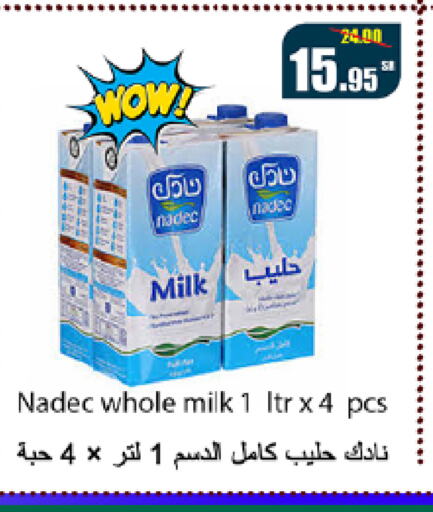 NADEC   in Al Mukhaizeem Markets in KSA, Saudi Arabia, Saudi - Dammam