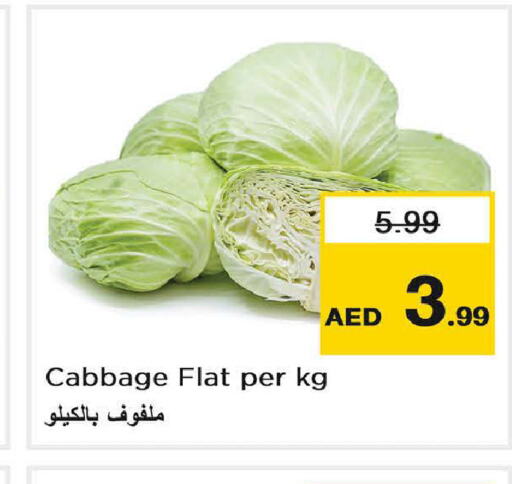  Cabbage  in Last Chance  in UAE - Fujairah