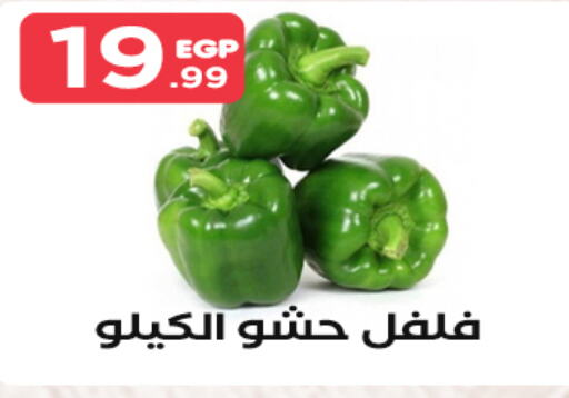  Chilli / Capsicum  in مارت فيل in Egypt - القاهرة