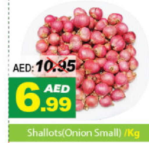  Onion  in ديزرت فريش ماركت in الإمارات العربية المتحدة , الامارات - أبو ظبي