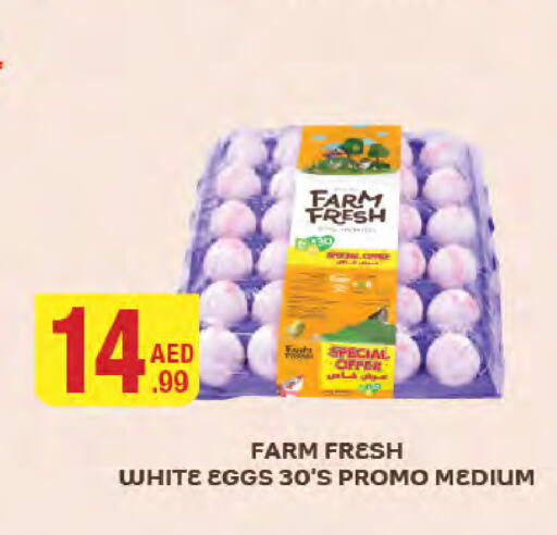 FARM FRESH   in جمعية الامارات التعاونية in الإمارات العربية المتحدة , الامارات - دبي