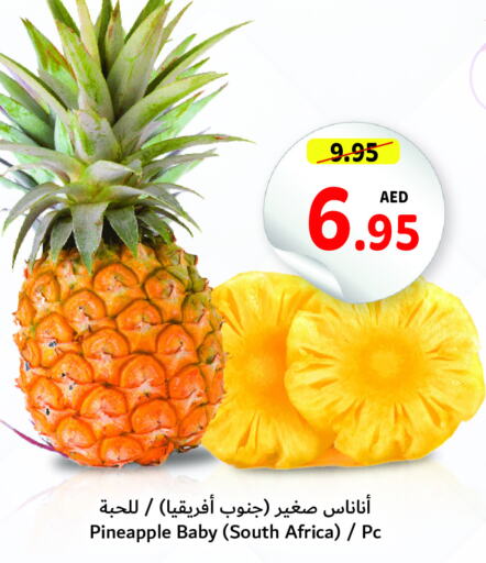  Pineapple  in Umm Al Quwain Coop in UAE - Umm al Quwain