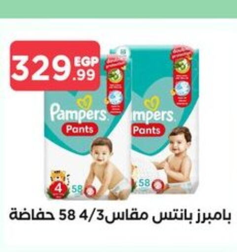 Pampers   in El Mahlawy Stores in Egypt - Cairo