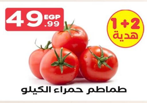  Tomato  in مارت فيل in Egypt - القاهرة