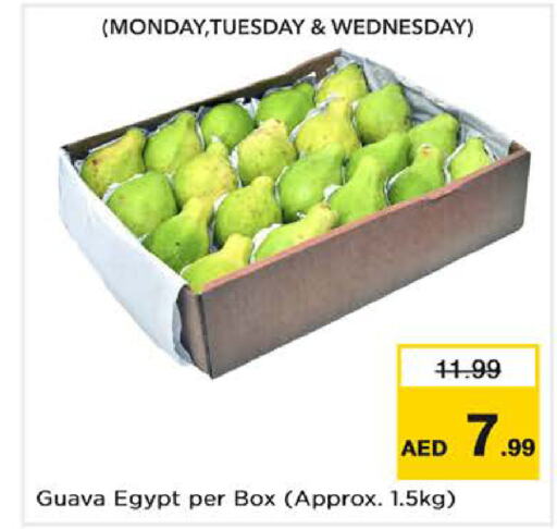  Guava  in نستو هايبرماركت in الإمارات العربية المتحدة , الامارات - ٱلْفُجَيْرَة‎