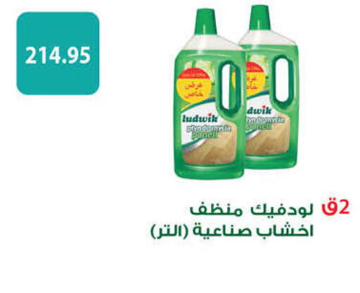  General Cleaner  in Hyper One  in Egypt - Cairo