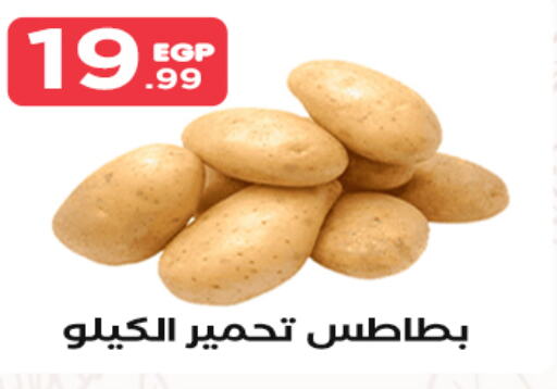  Potato  in مارت فيل in Egypt - القاهرة