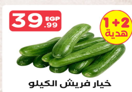  Cucumber  in مارت فيل in Egypt - القاهرة