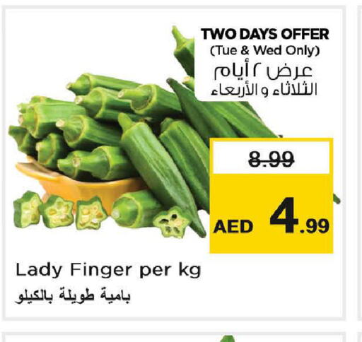  Lady's finger  in لاست تشانس in الإمارات العربية المتحدة , الامارات - ٱلْفُجَيْرَة‎