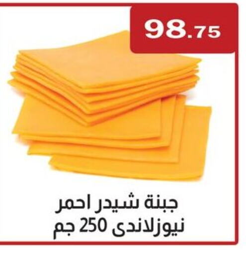  Cheddar Cheese  in ABA market in Egypt - Cairo