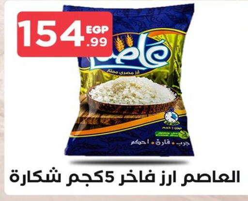  Calrose Rice  in MartVille in Egypt - Cairo