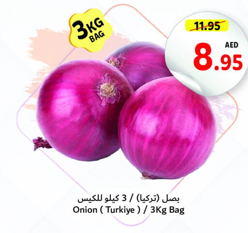  Onion  in تعاونية أم القيوين in الإمارات العربية المتحدة , الامارات - أم القيوين‎