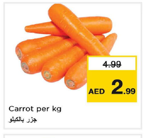  Carrot  in Last Chance  in UAE - Fujairah