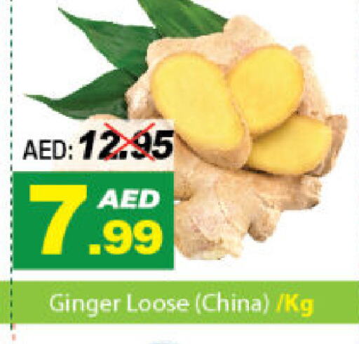  Ginger  in ديزرت فريش ماركت in الإمارات العربية المتحدة , الامارات - أبو ظبي