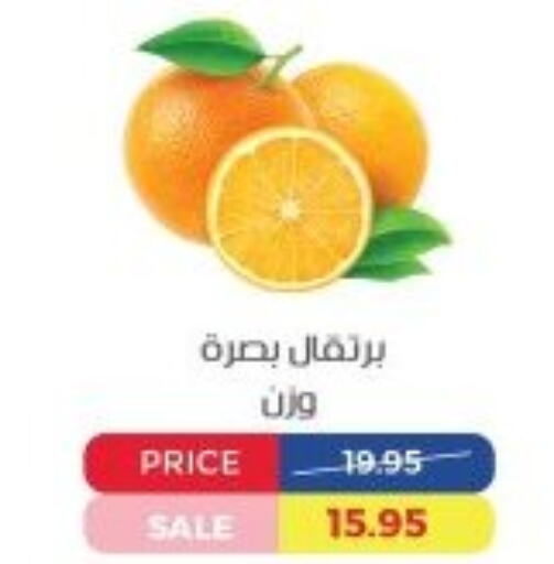  Orange  in اكسبشن ماركت in Egypt - القاهرة