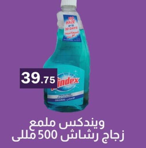 WINDEX منظف الزجاج  in ABA market in Egypt - Cairo