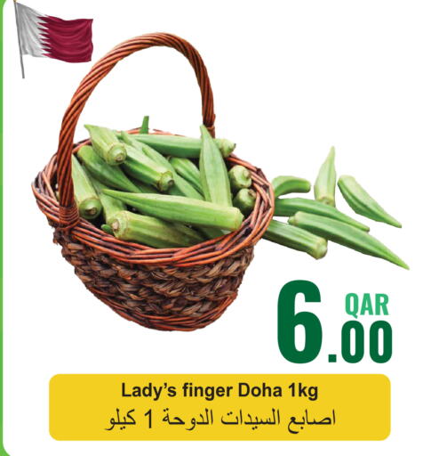  Lady's finger  in مجموعة ريجنسي in قطر - الريان