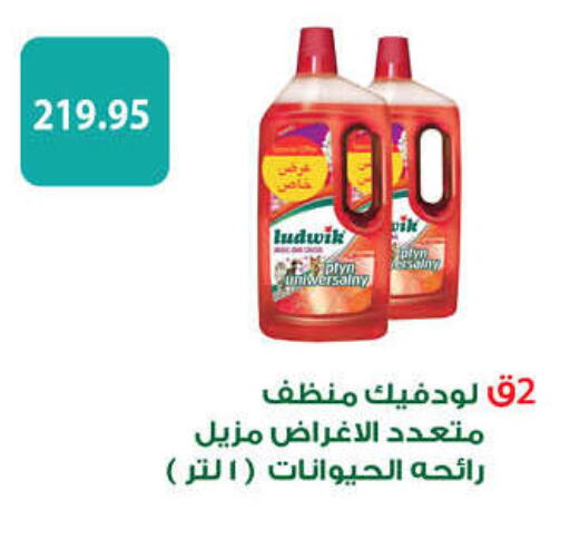  General Cleaner  in Hyper One  in Egypt - Cairo