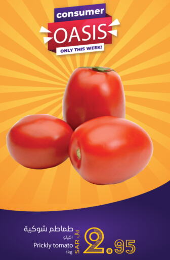  Tomato  in واحة المستهلك in مملكة العربية السعودية, السعودية, سعودية - الخبر‎