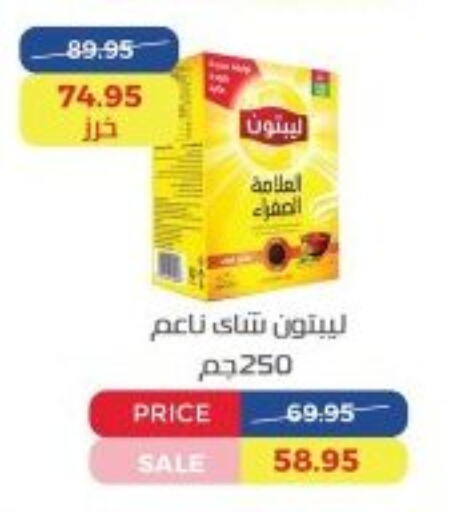 Lipton   in اكسبشن ماركت in Egypt - القاهرة