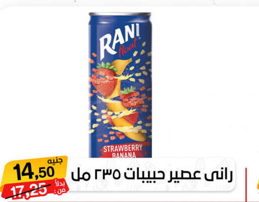 RANI   in بيت الجملة in Egypt - القاهرة