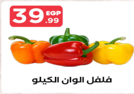  Chilli / Capsicum  in مارت فيل in Egypt - القاهرة