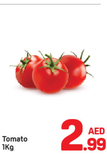  Tomato  in Day to Day Department Store in UAE - Dubai