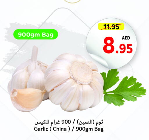  Garlic  in تعاونية أم القيوين in الإمارات العربية المتحدة , الامارات - الشارقة / عجمان