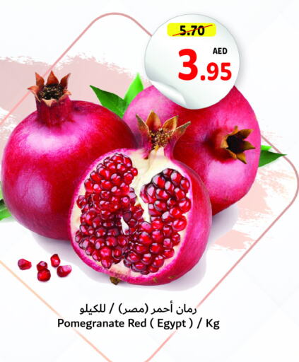  Pomegranate  in تعاونية أم القيوين in الإمارات العربية المتحدة , الامارات - أم القيوين‎