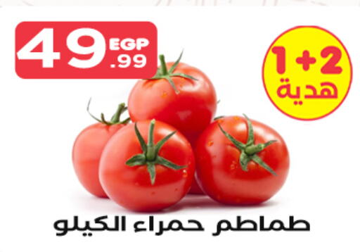  Tomato  in مارت فيل in Egypt - القاهرة