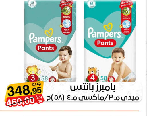 Pampers   in Beit El Gomla in Egypt - Cairo