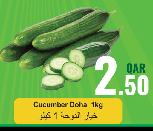  Cucumber  in مجموعة ريجنسي in قطر - الوكرة