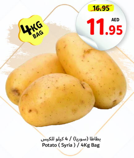  Potato  in تعاونية أم القيوين in الإمارات العربية المتحدة , الامارات - أم القيوين‎