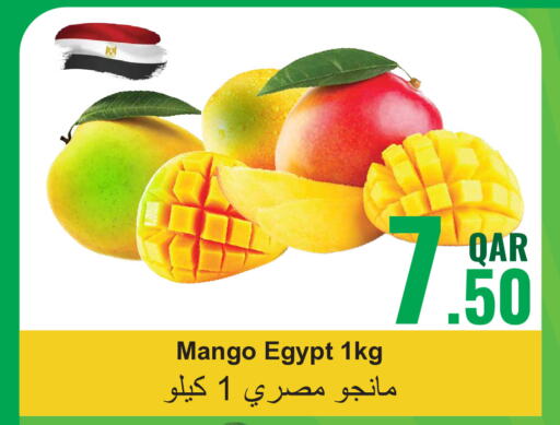 Mango Mango  in مجموعة ريجنسي in قطر - الخور