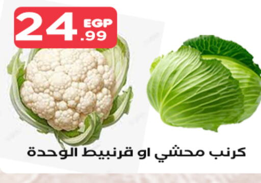  Cauliflower  in مارت فيل in Egypt - القاهرة