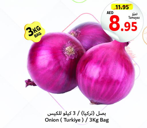  Onion  in تعاونية الاتحاد in الإمارات العربية المتحدة , الامارات - الشارقة / عجمان