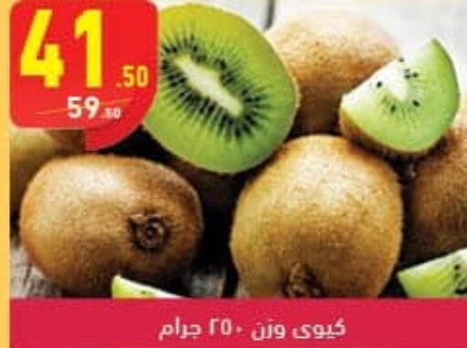  Kiwi  in محمود الفار in Egypt - القاهرة